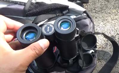 Best SV202 ED Binoculars For Birding and Nature Observation - Full review