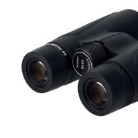Binocular with large field of view