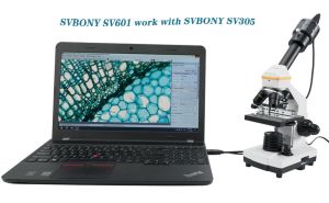 How to use the SVBONY SV601 Microscope with the SVBONY SV305 Astronomy Camera? doloremque