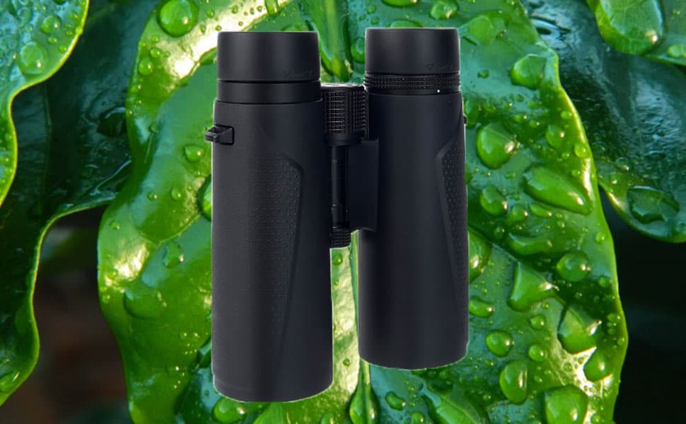 The Extraordinary Svbony SV202 8 x 42 ED Glass Binoculars