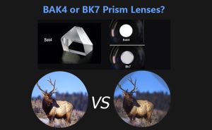 BAK4 or BK7 Prism Lenses? -- A Guide for Optics Enthusiasts doloremque