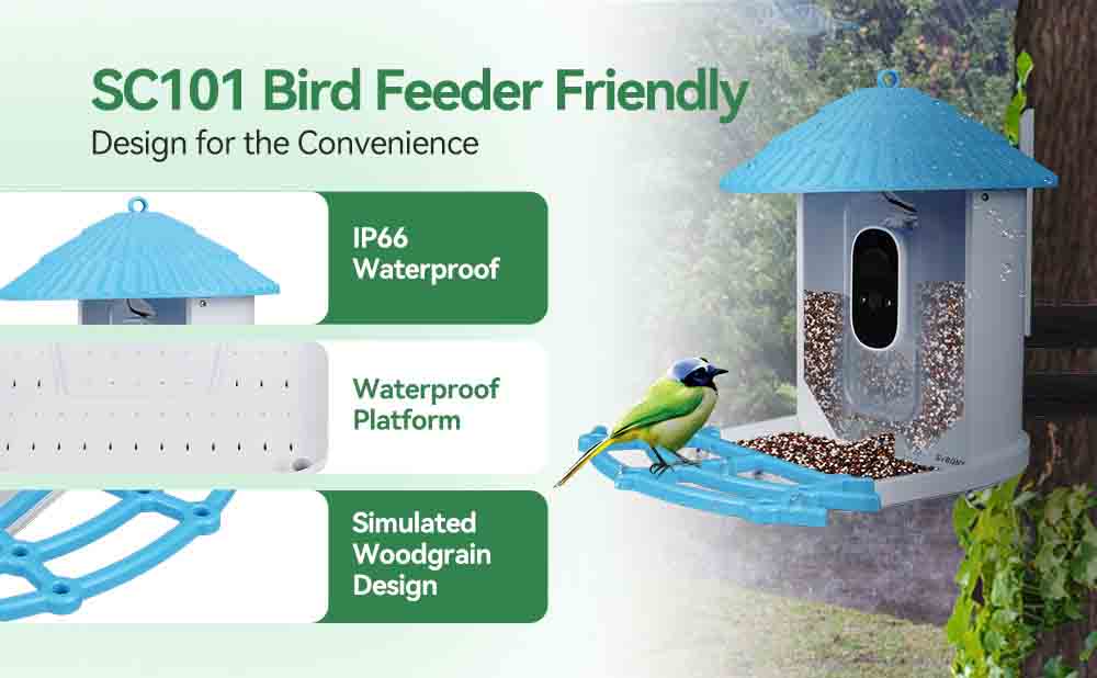 A Bird Feeder Designed for Convenience: The SVBONY SC101 Smart Bird Feeder