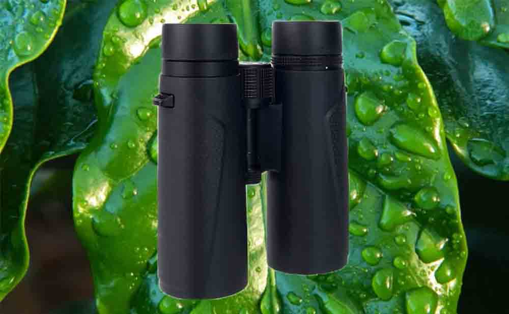 The Extraordinary Svbony SV202 8 x 42 ED Glass Binoculars