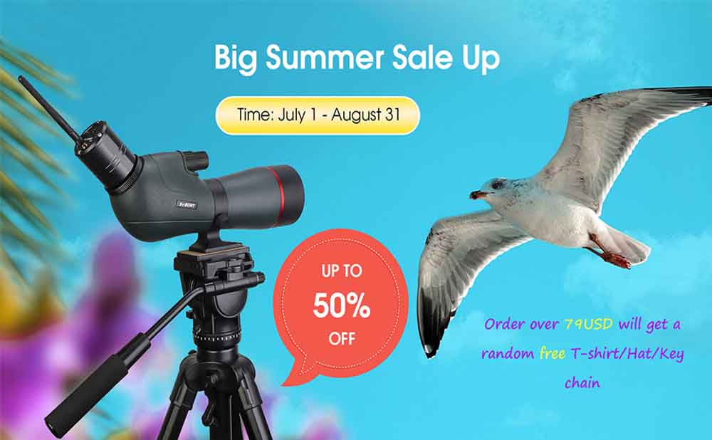 Summer Sale