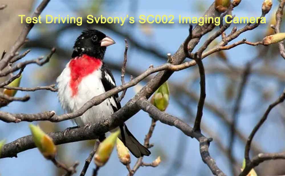 Test Driving Svbony’s SC002 Imaging Camera