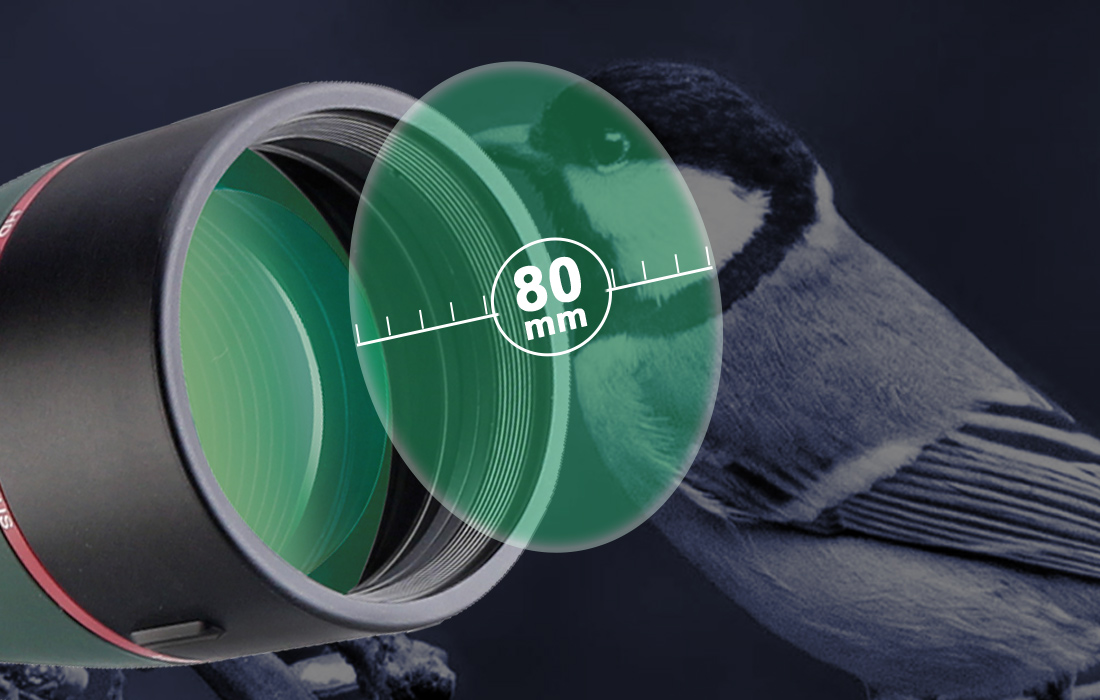 Svbony Brand SV406 Spotting Scope.jpg