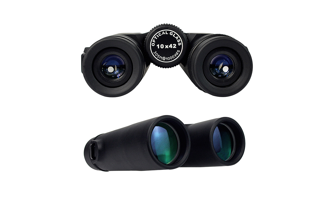 SV21 Binoculars .jpg
