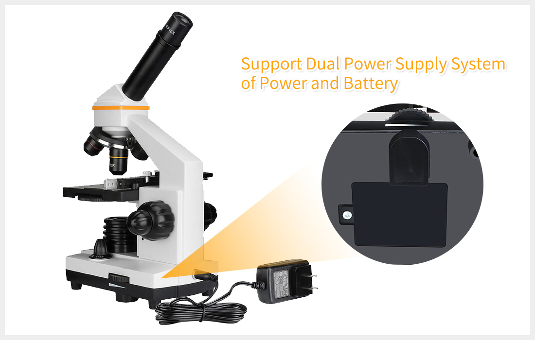 SV601 portable microscope.jpg