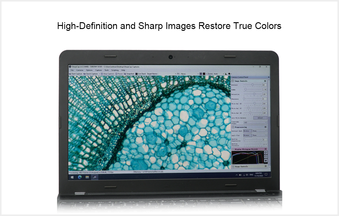High-Definition and Sharp Images Restore True Colors