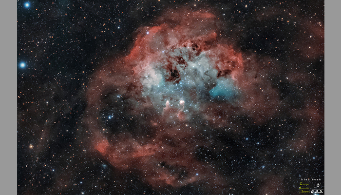 SV503 102ED-IC410.jpg SV503 102ED-IC410.jpg