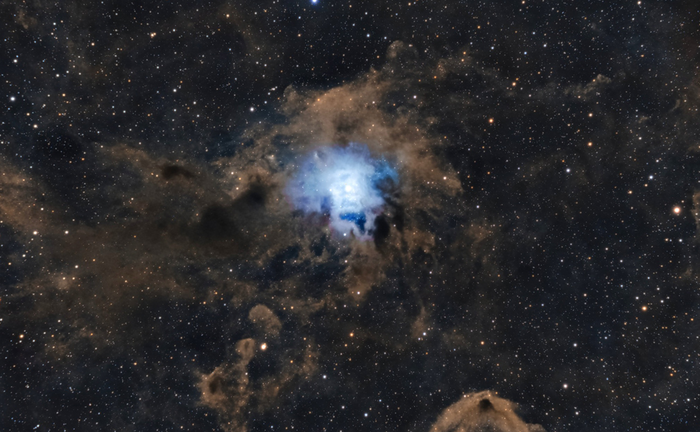 Iris Nebula (NGC 7023)