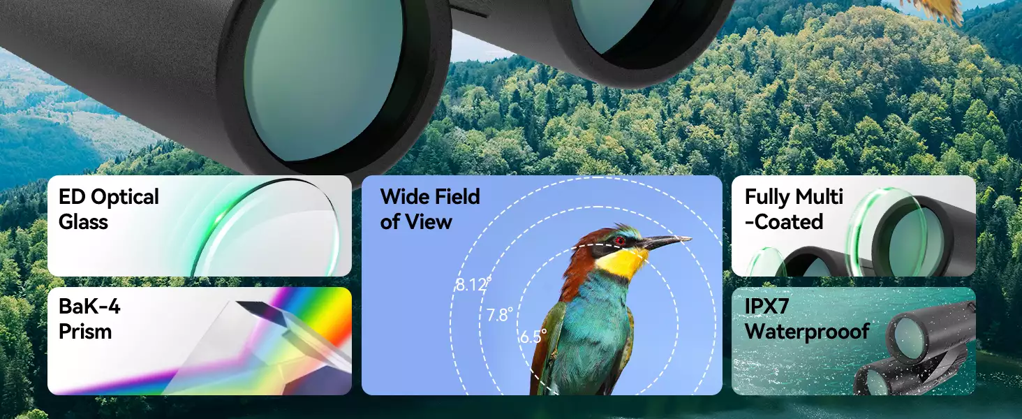 svbony-sv202-upgrade-binocular-for-birding