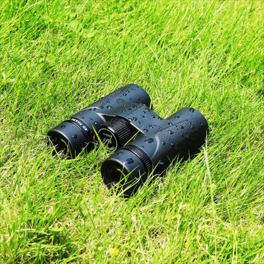 SV202 Extra-Low Dispersion ED Binoculars Bak4 