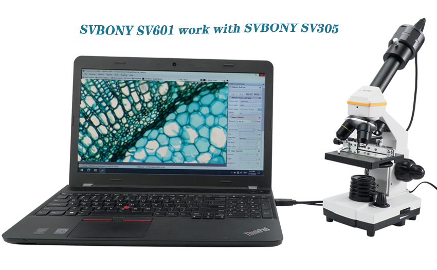 How to use the SVBONY SV601 Microscope with the SVBONY SV305 Astronomy Camera?