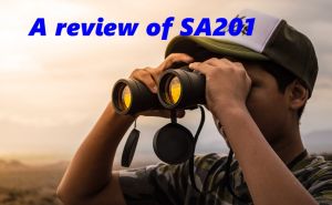 A review of SA201 doloremque