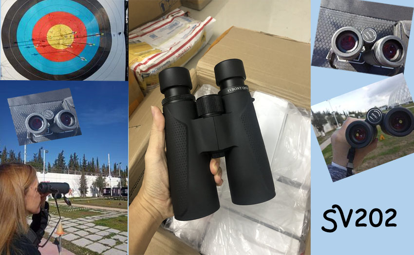 SV202 10X42 binocular review