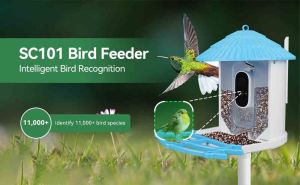  Capture Every Moment: The High-Definition Camera of the SVBONY SC101 Smart Bird Feeder doloremque