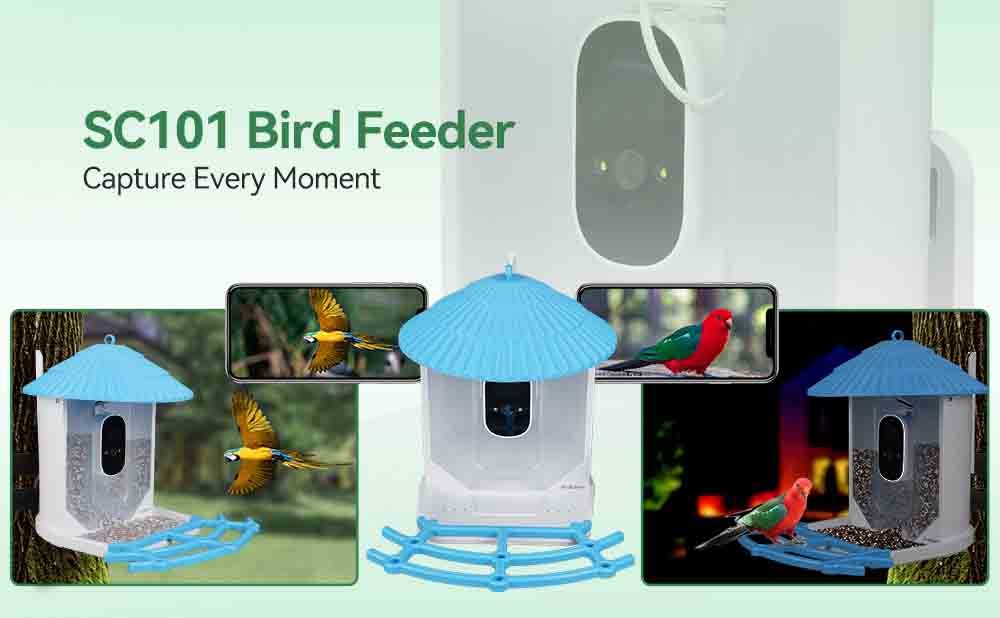 Discover the Magic of AI Bird Identification with the SVBONY SC101 Smart Bird Feeder