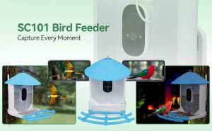 Discover the Magic of AI Bird Identification with the SVBONY SC101 Smart Bird Feeder doloremque