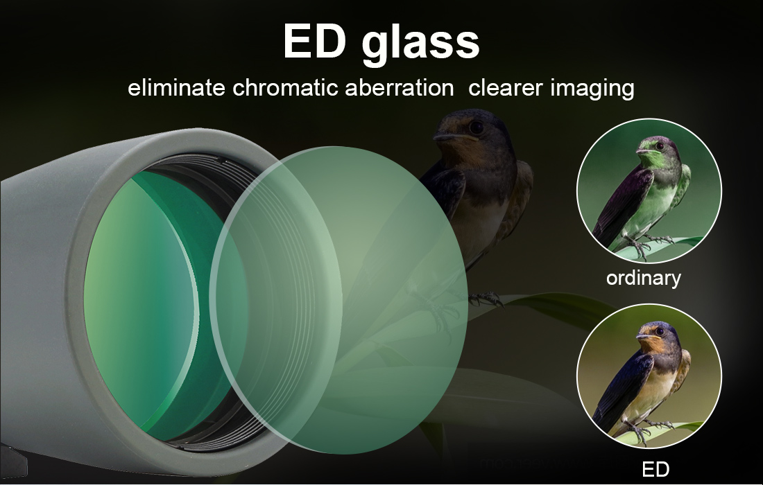 Svbony ED mini spotting scope.jpg