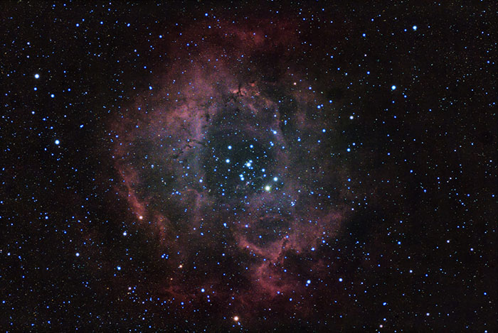 Nebulosa Rosetta NGC 2244 by SV503