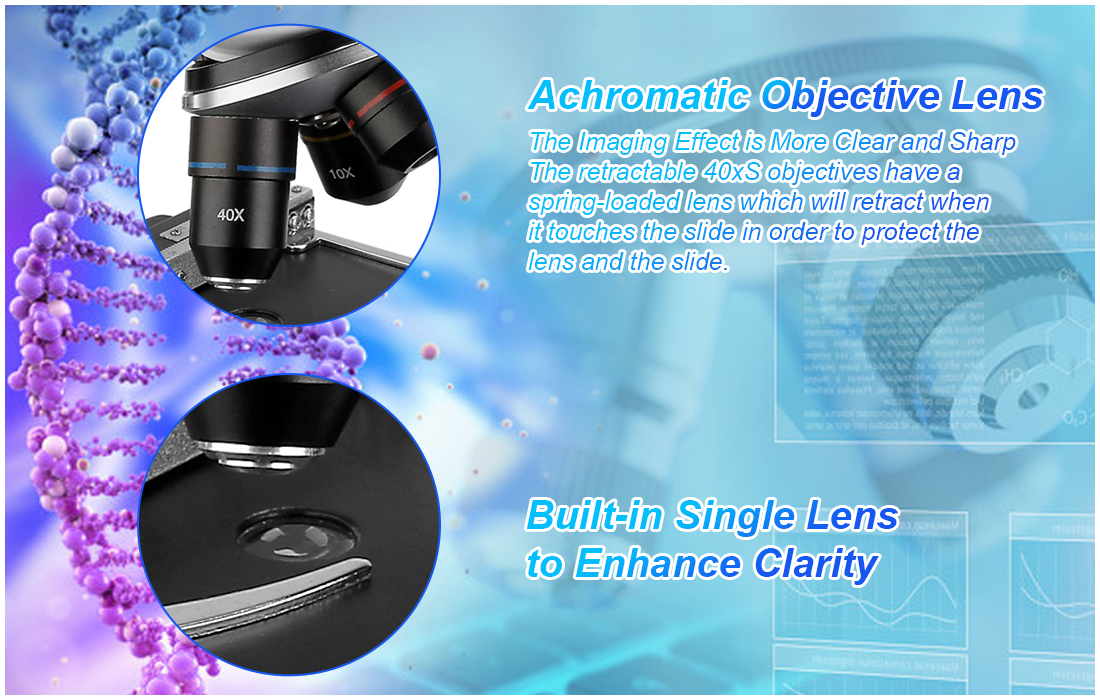 Binocular Microscope