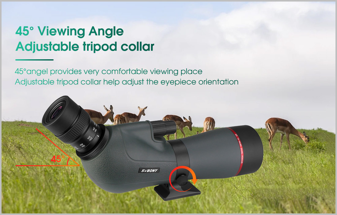 SV406P 16×48 ED（5）