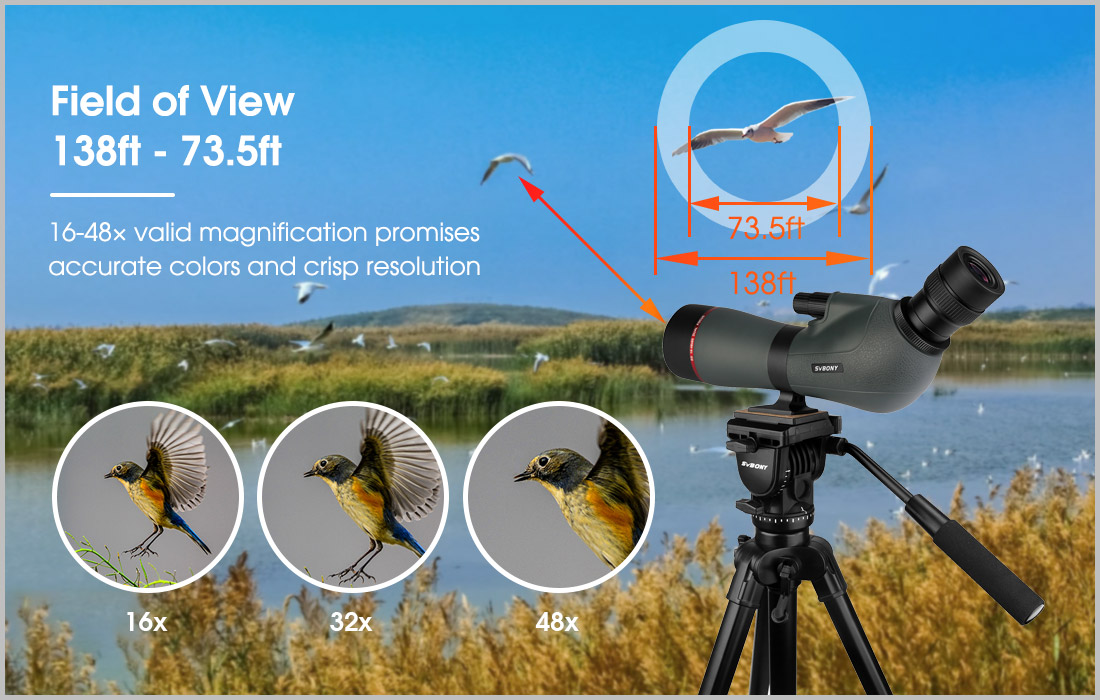SV406P 16×48 ED（7）