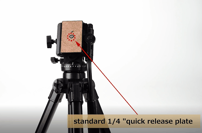 Quick release plate