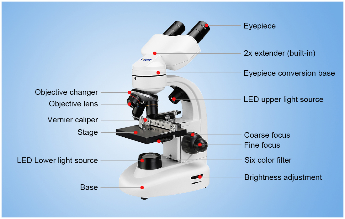 SV605 biological microscope