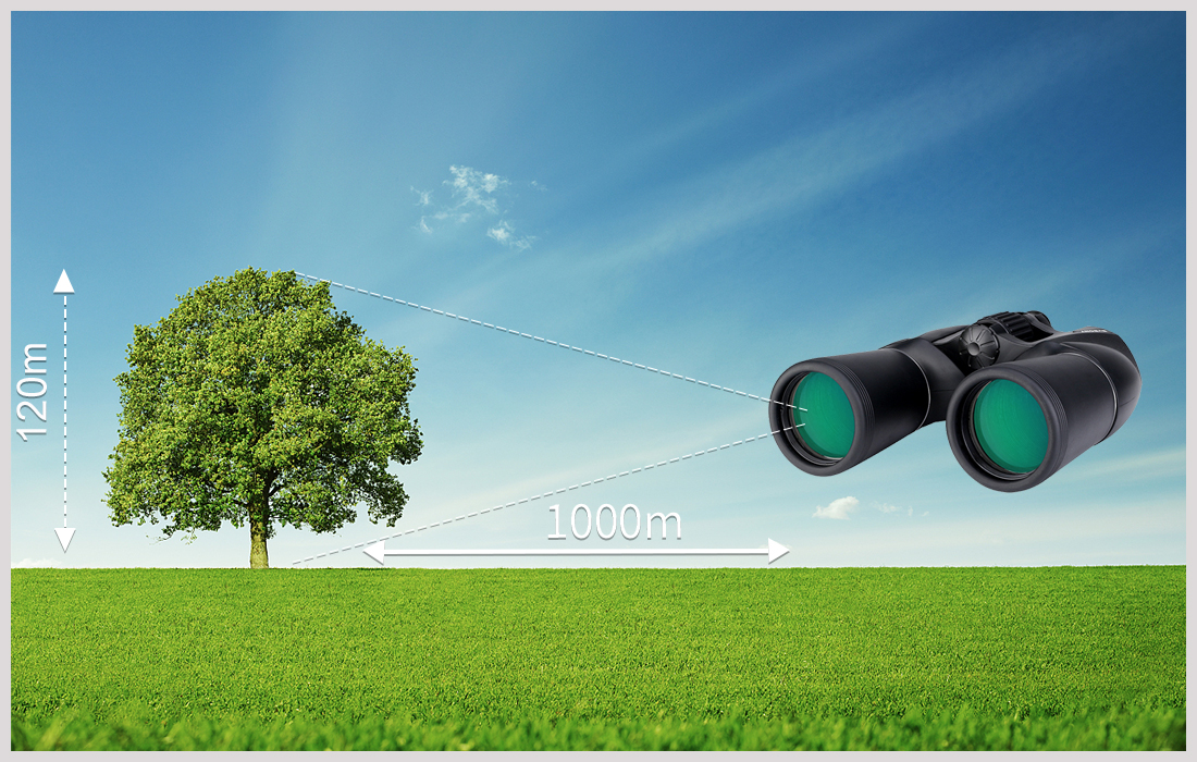 SV206 porro binocular.jpg