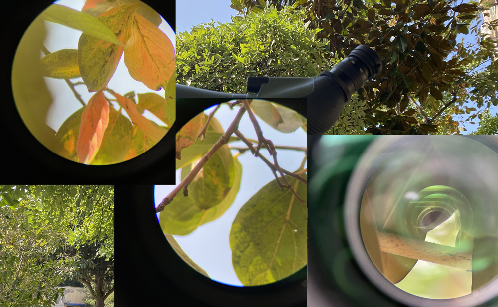 Observation effect of SA412 Spotting Scope-1